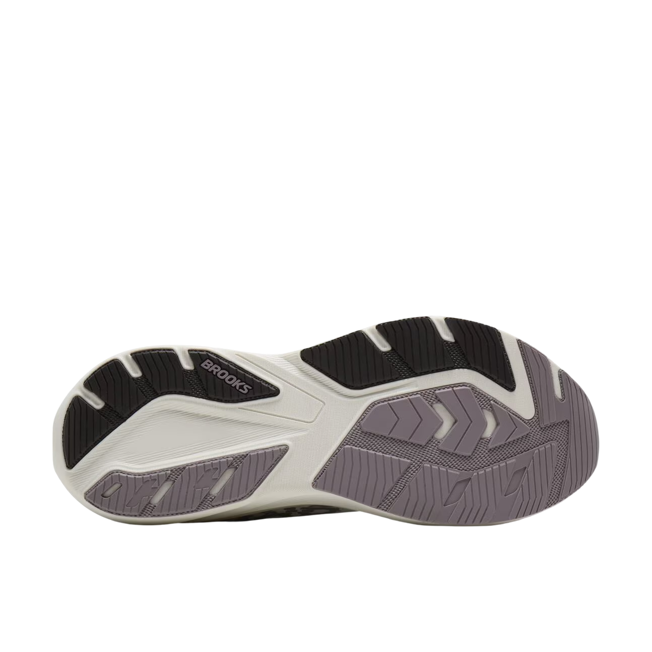 Brooks Men's Amp - Coconut / Purple Dove / Raisin