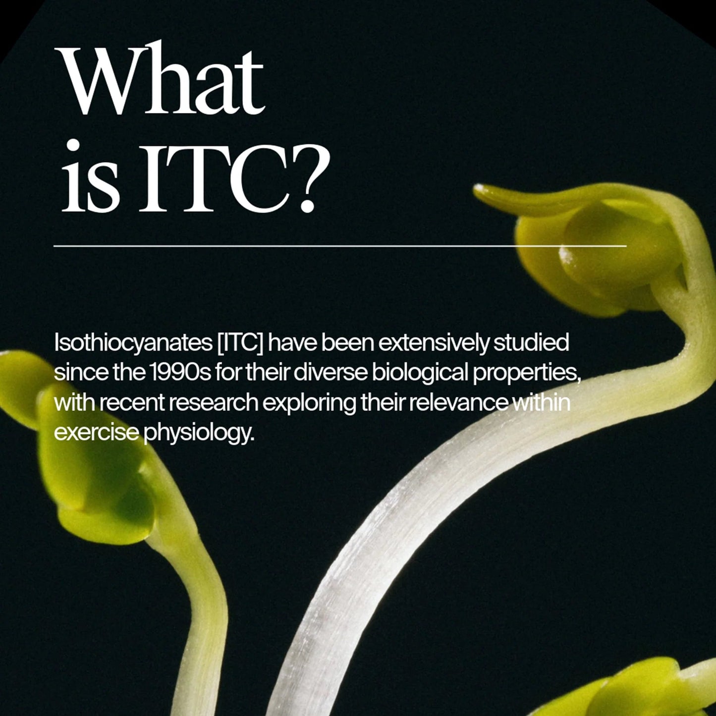 Nomio - 100ml - Box of 4 - Interval Running