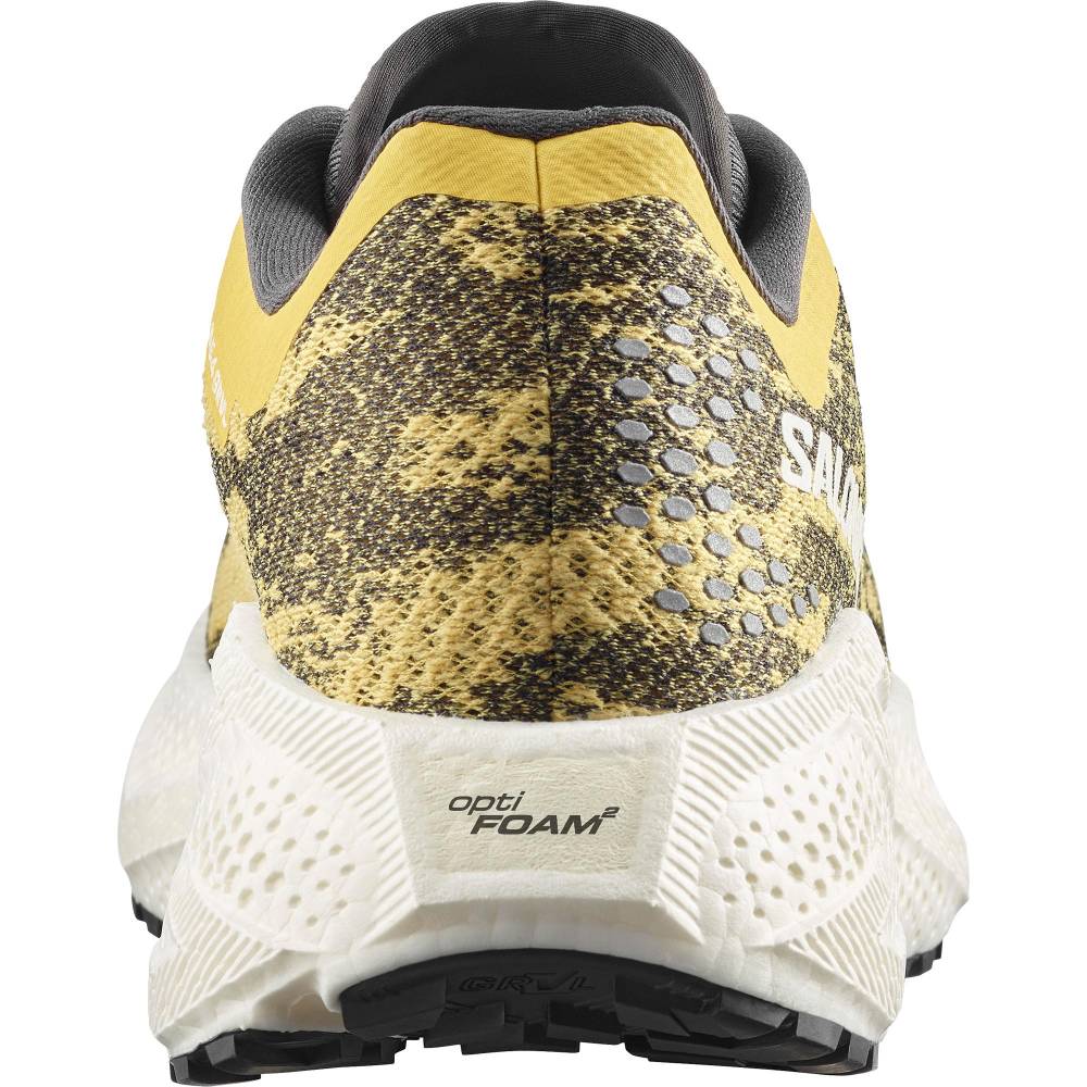 Salomon Men's Aero Glide 4 GRVL – Beach Ball / Asphalt - Interval Running