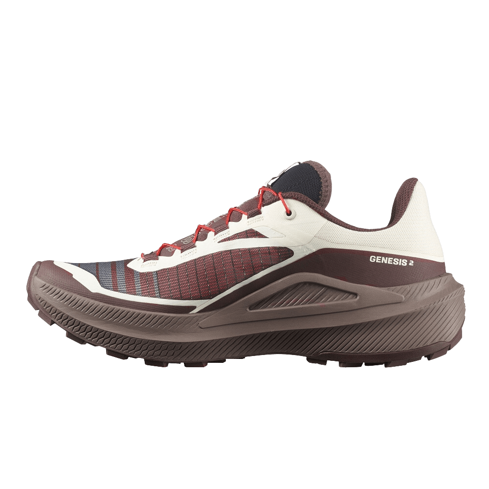 Salomon Men's Genesis 2 - Vanilla Ice / Iron - Interval Running