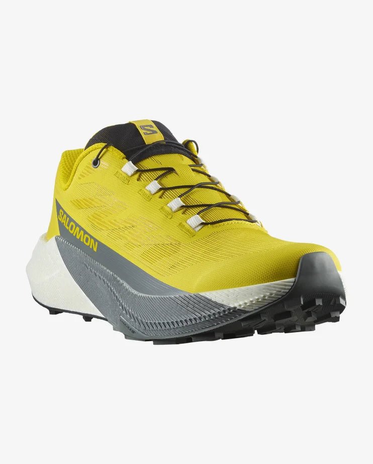 Salomon Men's Pulsar - Incaberry / Vanilla Ice / Sedona Sage - Interval Running