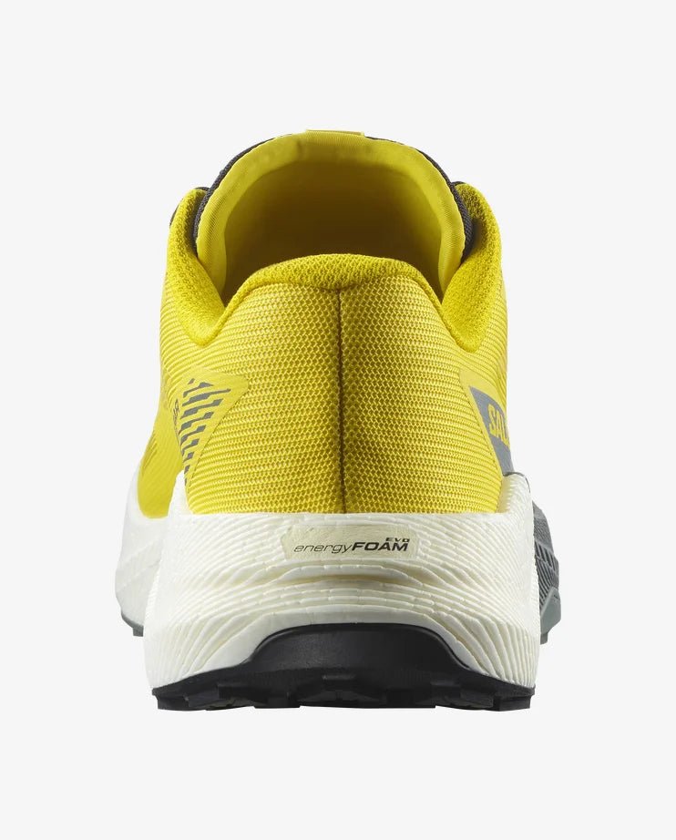 Salomon Men's Pulsar - Incaberry / Vanilla Ice / Sedona Sage - Interval Running